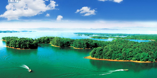 快捷方便！查看沈陽長途汽車站時刻表的絕佳方法